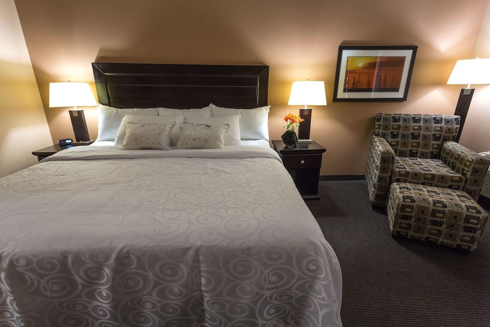Royal Hotel Edmonton Airport Trademark Collection By Wyndham Leduc Exterior photo